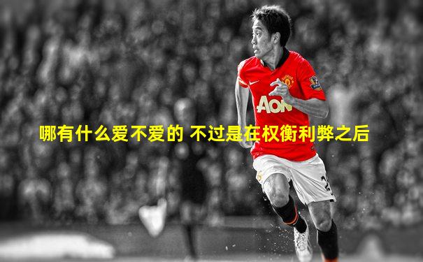 哪有什么爱不爱的 不过是在权衡利弊之后